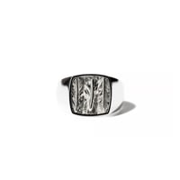 FH ROI RING (SV)