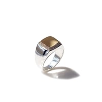 ROI RING(SV x K18x diamond)