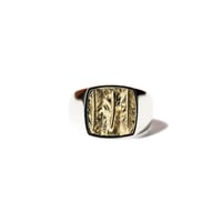 FH ROI RING (K18xSV)