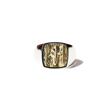 FH ROI RING (K18xSV)