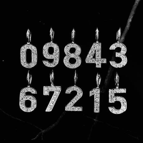 L.NUMBER NECKLACE (SV R)