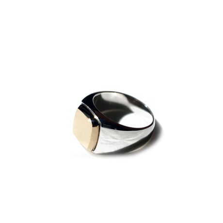 ROI RING P (SV X K18)