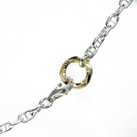 lien chain necklace (公式Web限定)