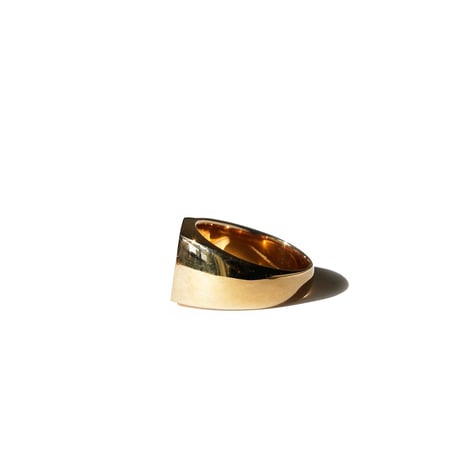 ROI RING (MAT)
