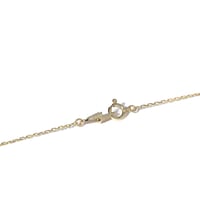 RAY NECKLACE(GDCH-820)