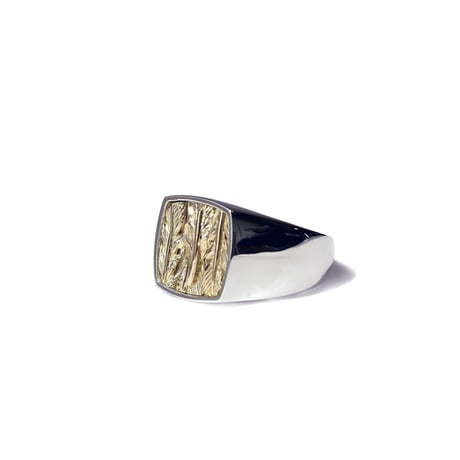 FH ROI RING (K18xSV)