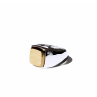 ROI RING P (SV X K18)