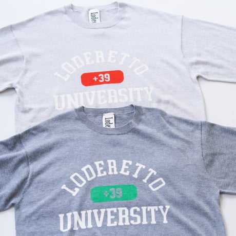UNIVERSITY / L GRAY