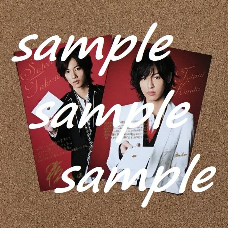 アミューズ ハンサムライブ 2009 入場者特典 お土産 カード 抜け無し封筒付 アミューズ ハンサムライブ 2009 入場者特典 お土産 カード 抜け無し