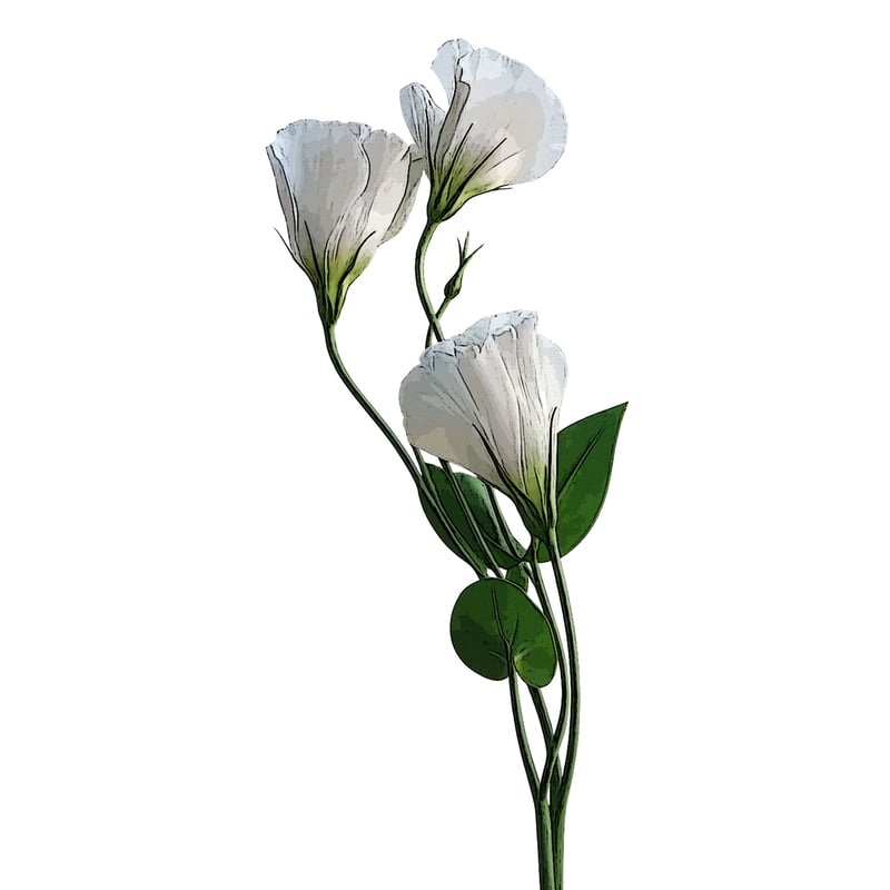 Flower Print / Denim Wide Pants】indigo×white f