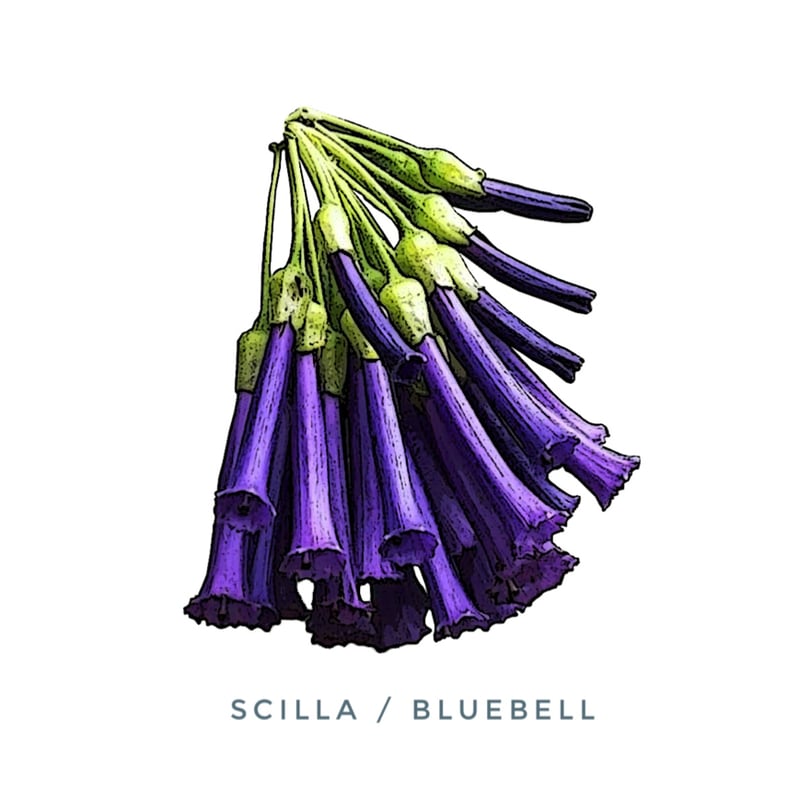 Flower Print / Denim Wide Pants】 | RIVER MAIL