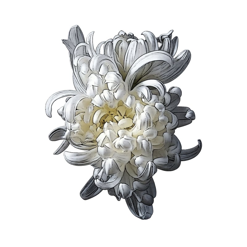 Flower Print / Denim Wide Pants】indigo×white f