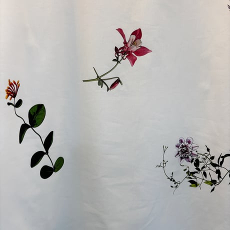 【Botanical Garden Denim / T-Blouse】  White / Indigo