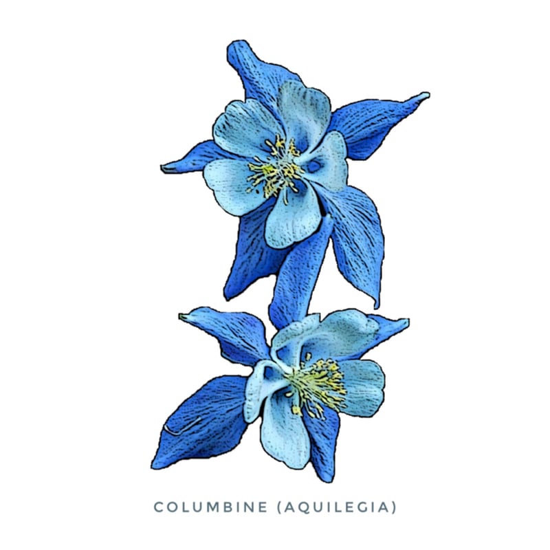 Flower Print / Denim Wide Pants】 | RIVER MAIL