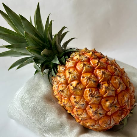 【お中元・夏ギフト】沖縄県産ボゴールパイン2玉とドライフルーツチョコセット　☆送料込