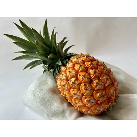 【お中元・夏ギフト】パイナップルづくしセット　☆送料込