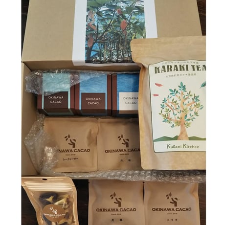 【年間購入・定期便月1回プラン】チョコレート&特典コンパクトセット(送料込)
