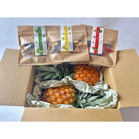 【お中元・夏ギフト】沖縄県産ボゴールパイン2玉とドライフルーツチョコセット　☆送料込