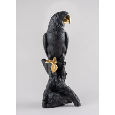 コンゴウインコ（Bold Black）
