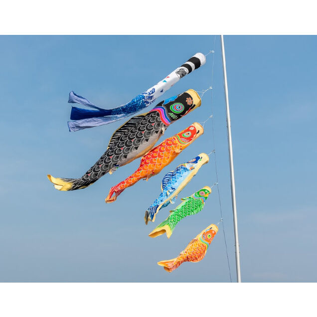 鯉のぼり 龍王本染 別誂(特別注文) 御鯉幟 龍王染本舗 【公式通販】