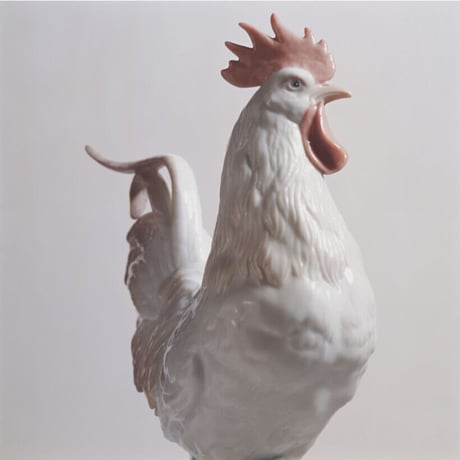 The Rooster