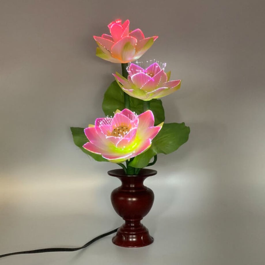 62d63a45a74e337bf0b2a762