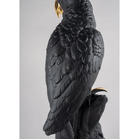 コンゴウインコ（Bold Black）