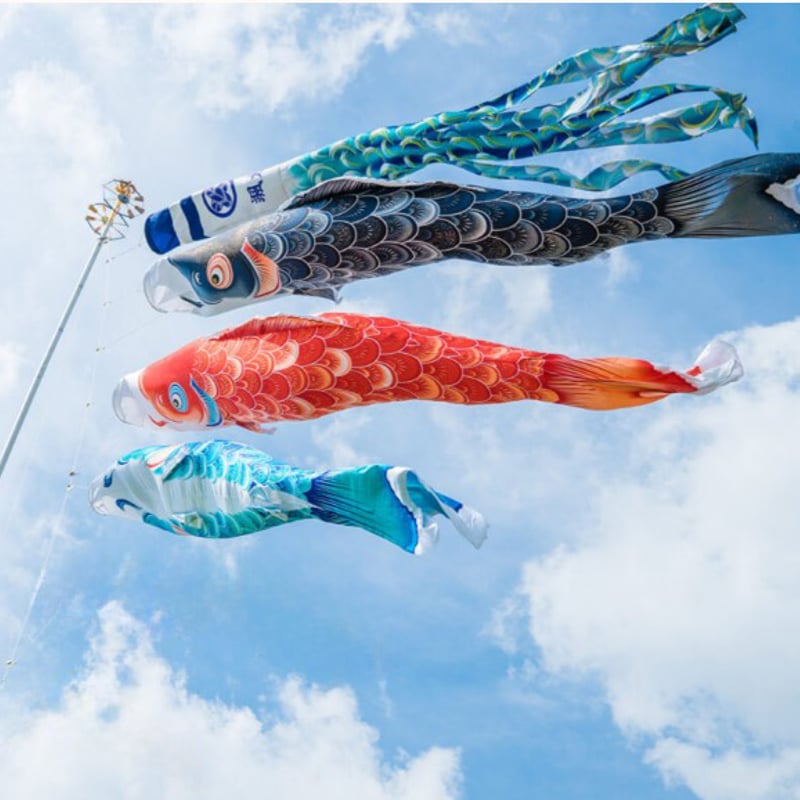 豪華絢爛 金箔こいのぼり 吹き流し 3色セット スタンド ポール 豪華絢爛 金箔こいのぼり 吹き流し 3色セット スタンド ポール
