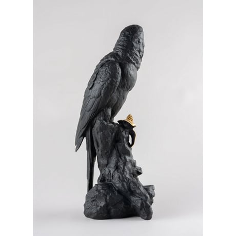 コンゴウインコ（Bold Black）