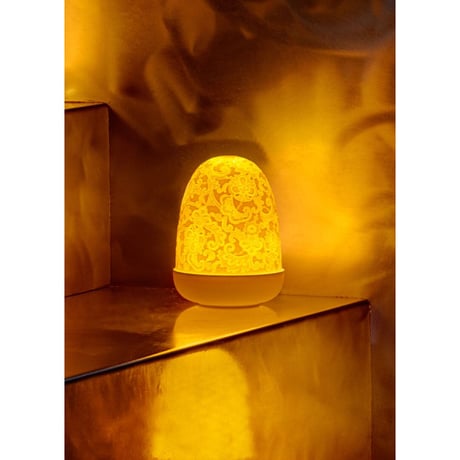 Dome Lamp(レース)