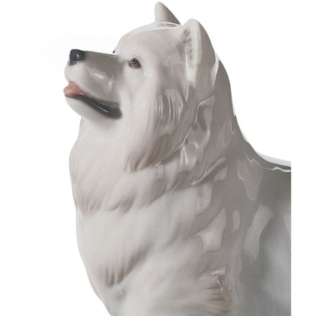 The Dog