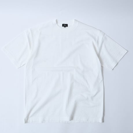 HK261-13251 (7013)