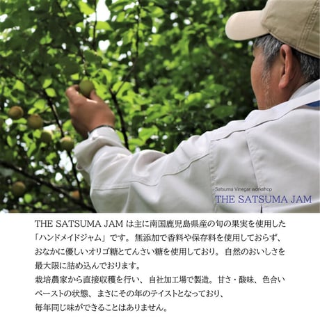 【THE SATSUMA JAM】鹿児島県産 ジャム 季節のジャム 130ｇ入3個セット
