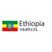 （生豆）　Ethiopia　イルガチェフェ　1ｋｇ