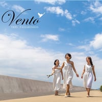 2019トレス•パッサリーニョス/Vento
