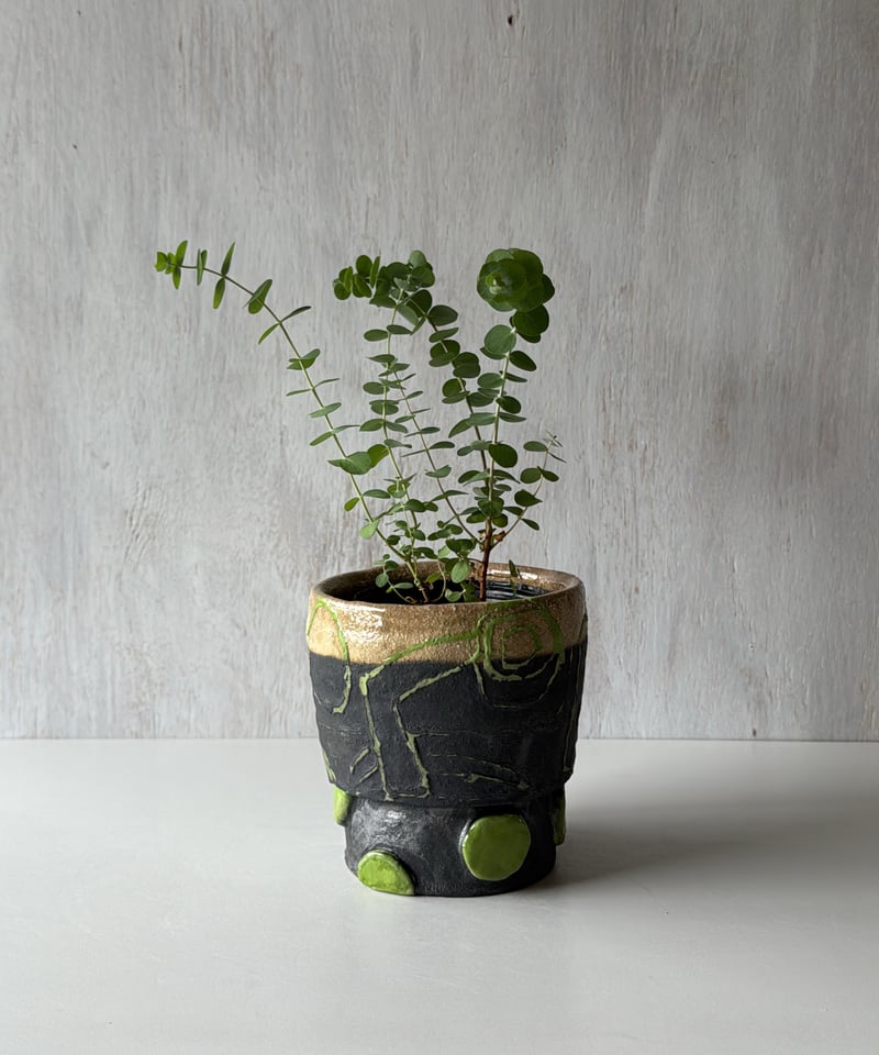 CATEGORY ラファエルナバス | NORA ノラ