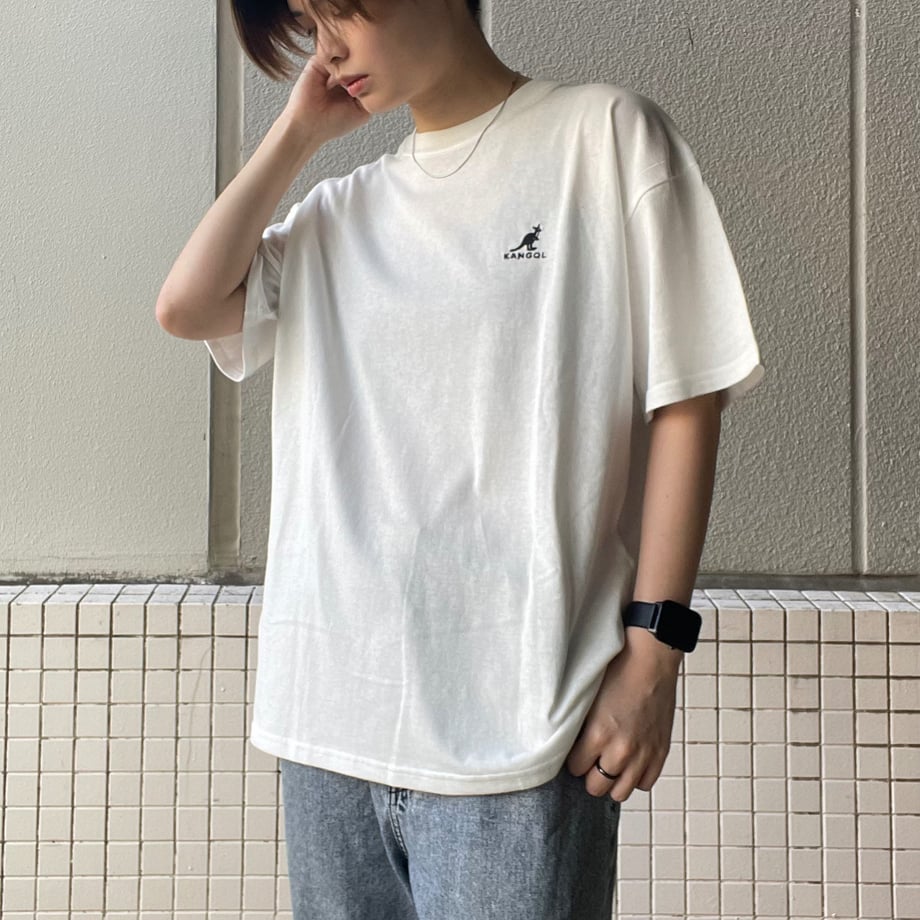 666ea1a9d3c2c90dbadbb250