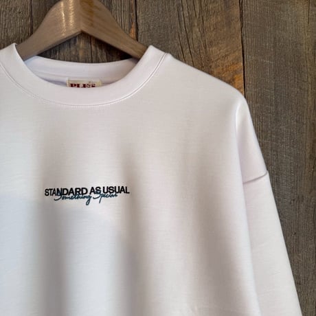 【全2色】1ポイント刺繍クルーネック長袖ポンチスウェット　25755000
