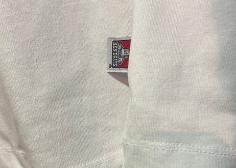 【全3色】BENDAVIS FRIDGE DOOR 半袖Tシャツ　24580043