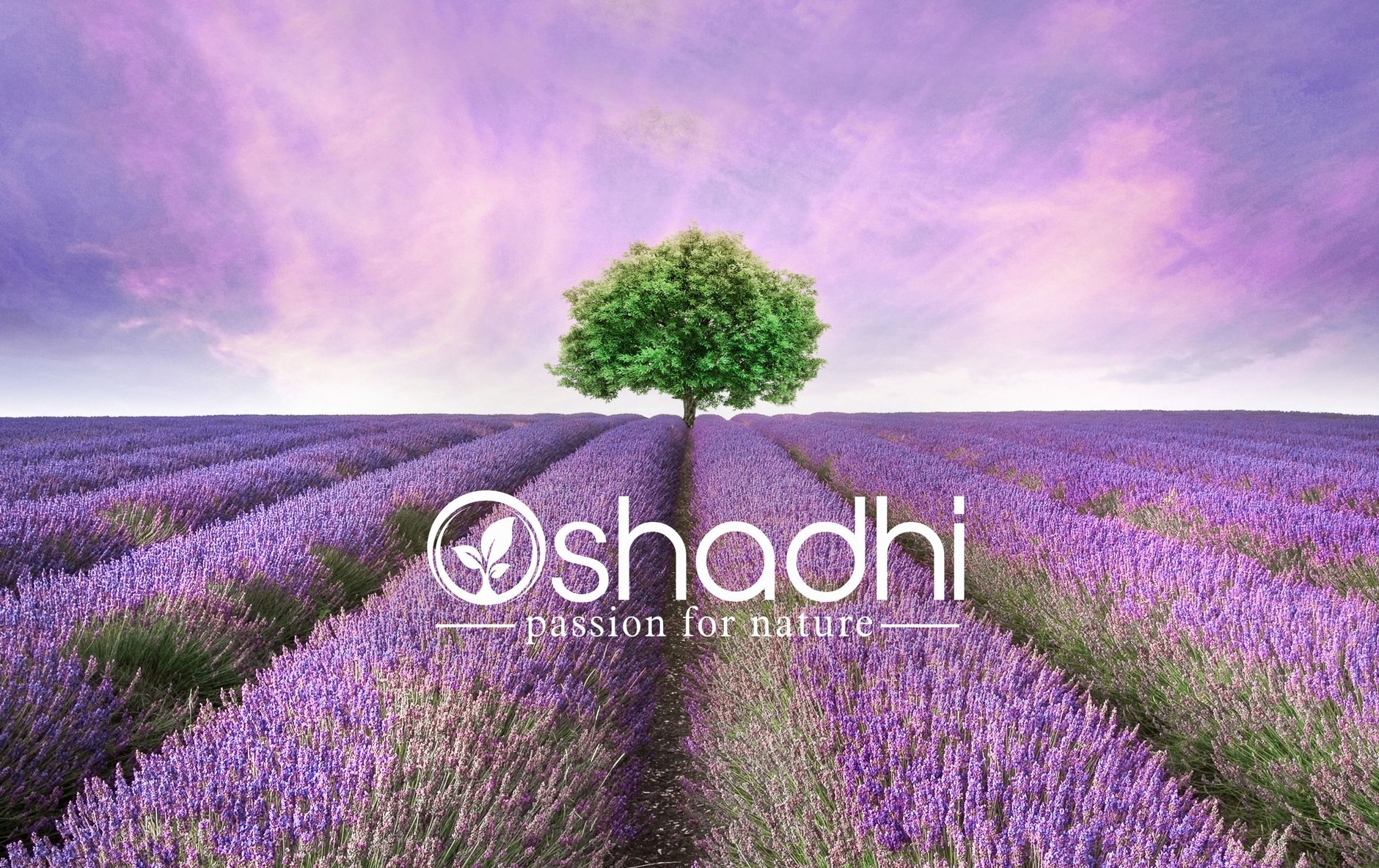 Oshadhi Japan