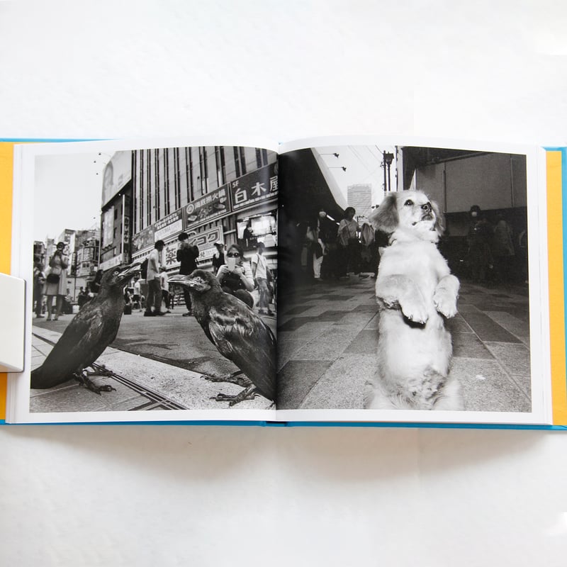 有元伸也『Tokyo Strut』（サイン入り） | Fugensha STORE