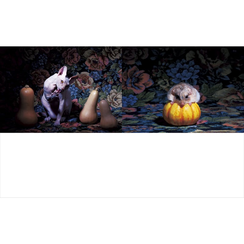 Wunderkammer うつゆみこ, ポスター.サイン入り うつゆみこ『Wunderkammer』 | Fugensha STORE