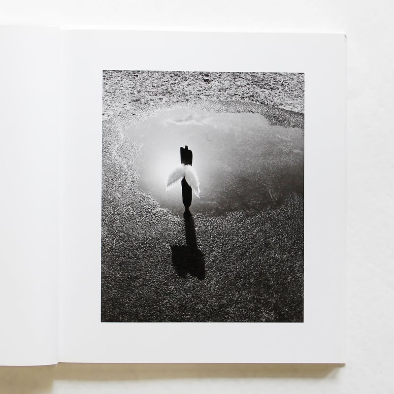 普後均『ON THE CIRCLE』(サイン入り) | Fugensha STORE 普後均『ON THE CIRCLE』(サイン入り) | Fugensha STORE