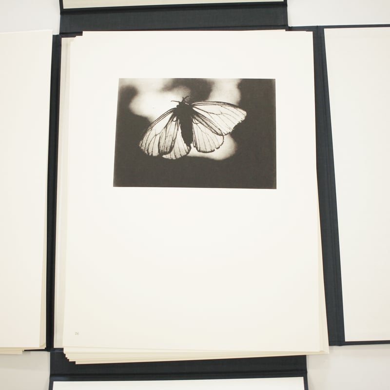 安井仲治写真作品集（日本写真史の至宝） | Fugensha STORE