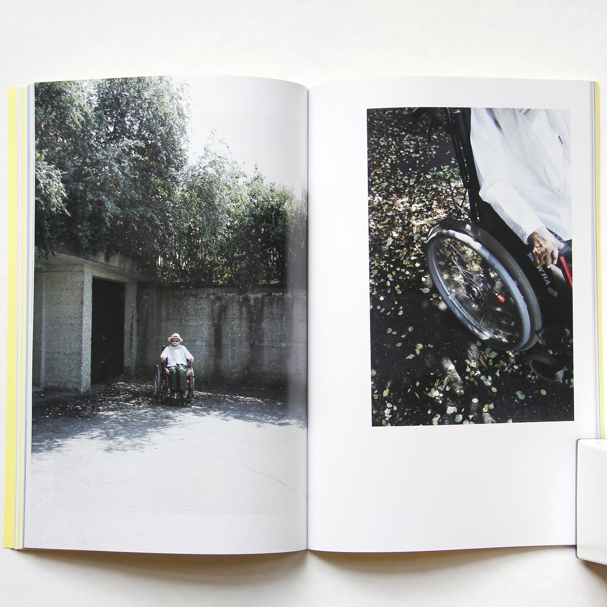 Celia Calle セリア・カーレ 直筆サイン入り 画集 Celia Calle