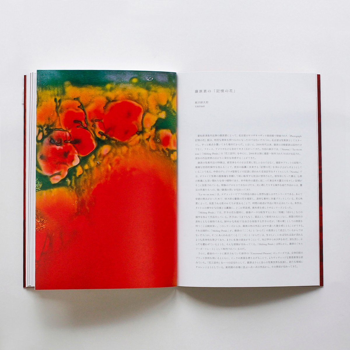 藤原更『記憶の花』 | Fugensha STORE