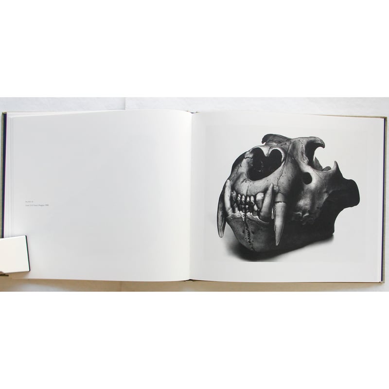 Irving Penn『Cranium Architecture』 | Fugensha STORE