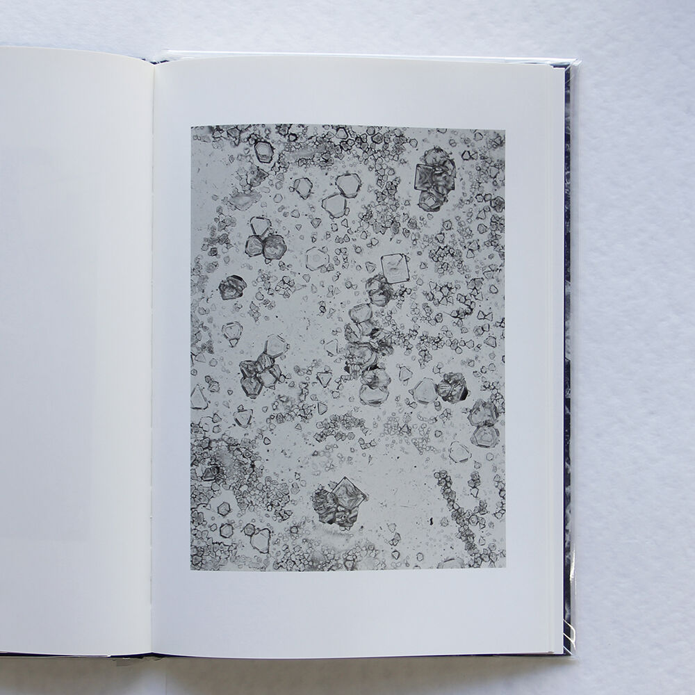 細倉真弓『TRANSPARENCY IS THE NEW MYSTERY』（サイン入り） |