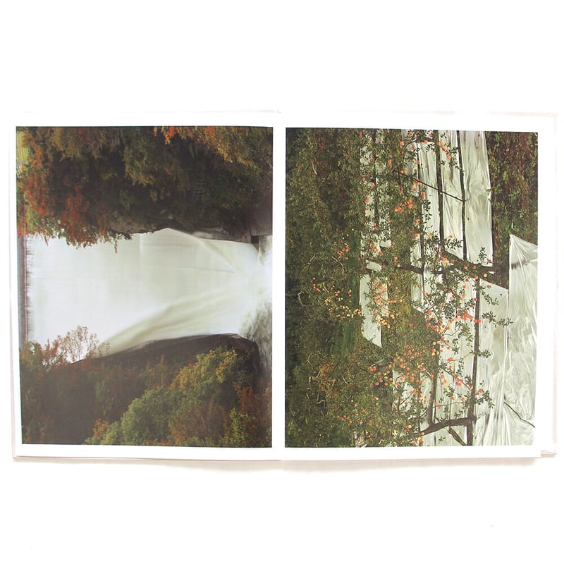 柴田敏雄『PAINTING』 | Fugensha STORE