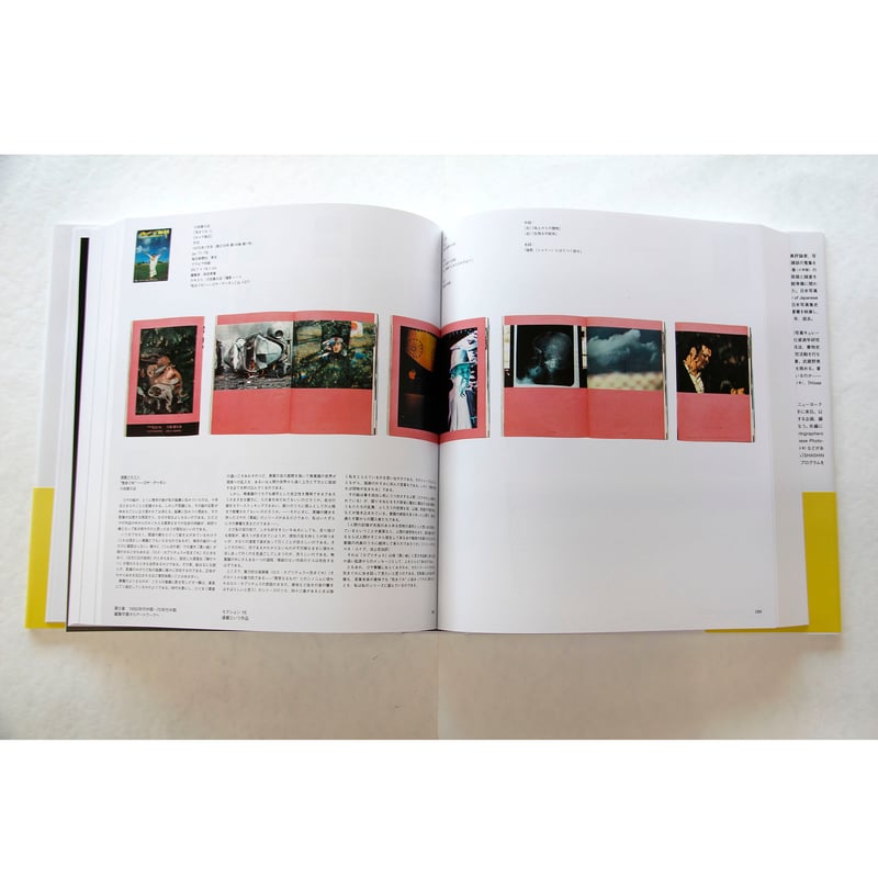 金子隆一、戸田昌子、アイヴァン・ヴァルタニアン 『日本写真史: 写真